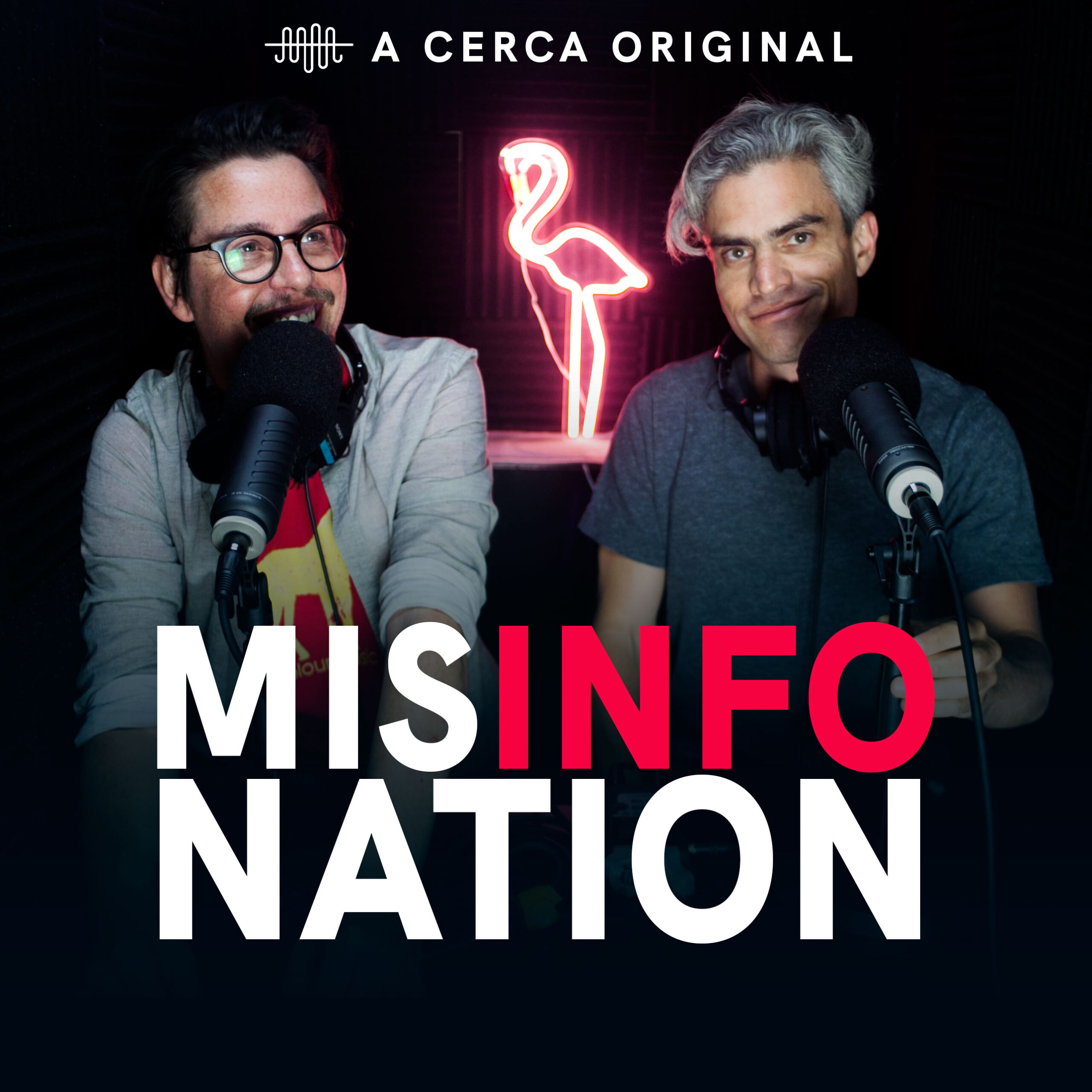 MisInfoNation key art