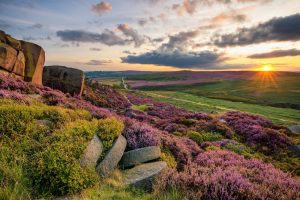 england