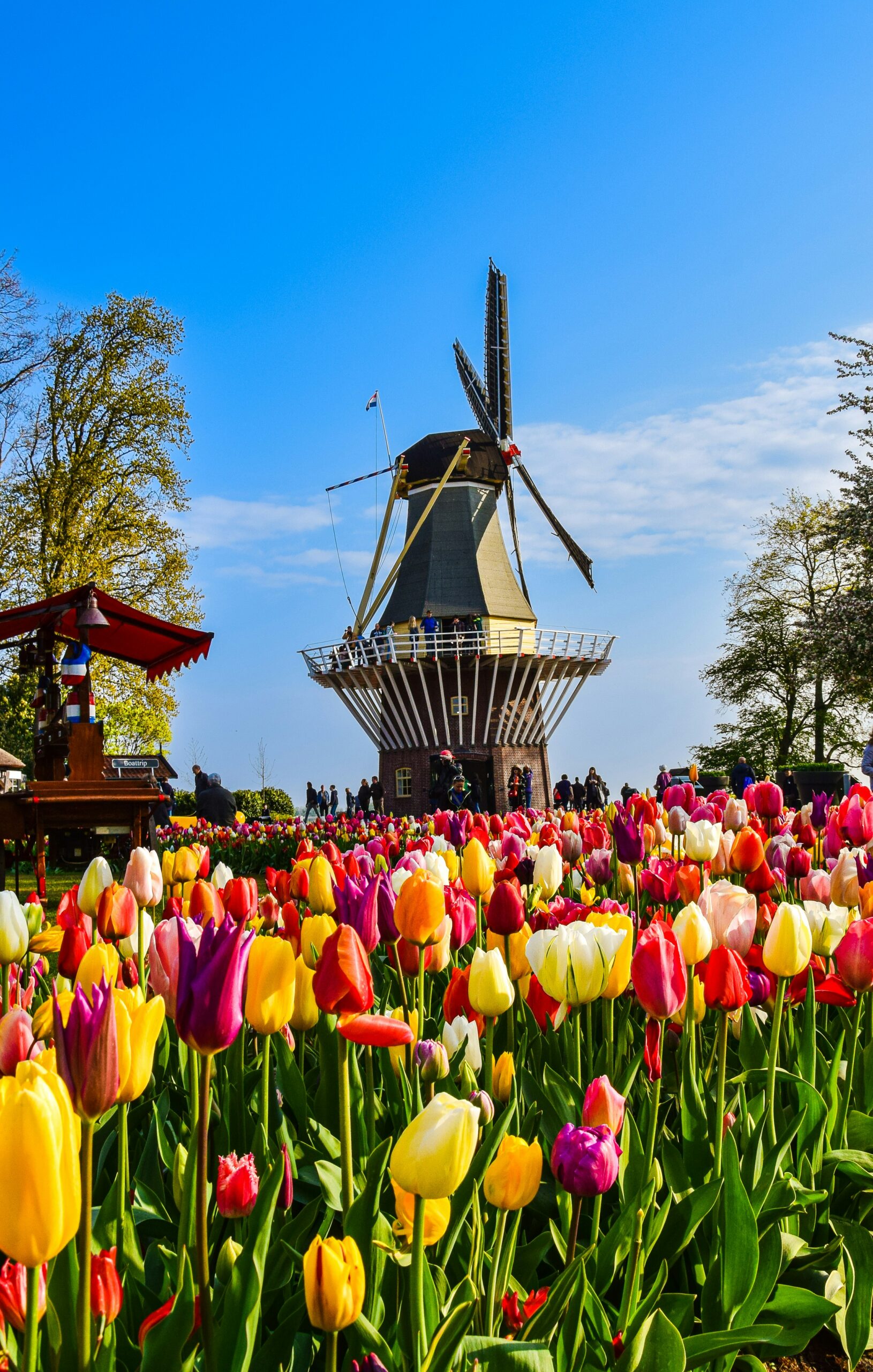 Keukenhof, Lisse, Netherlands