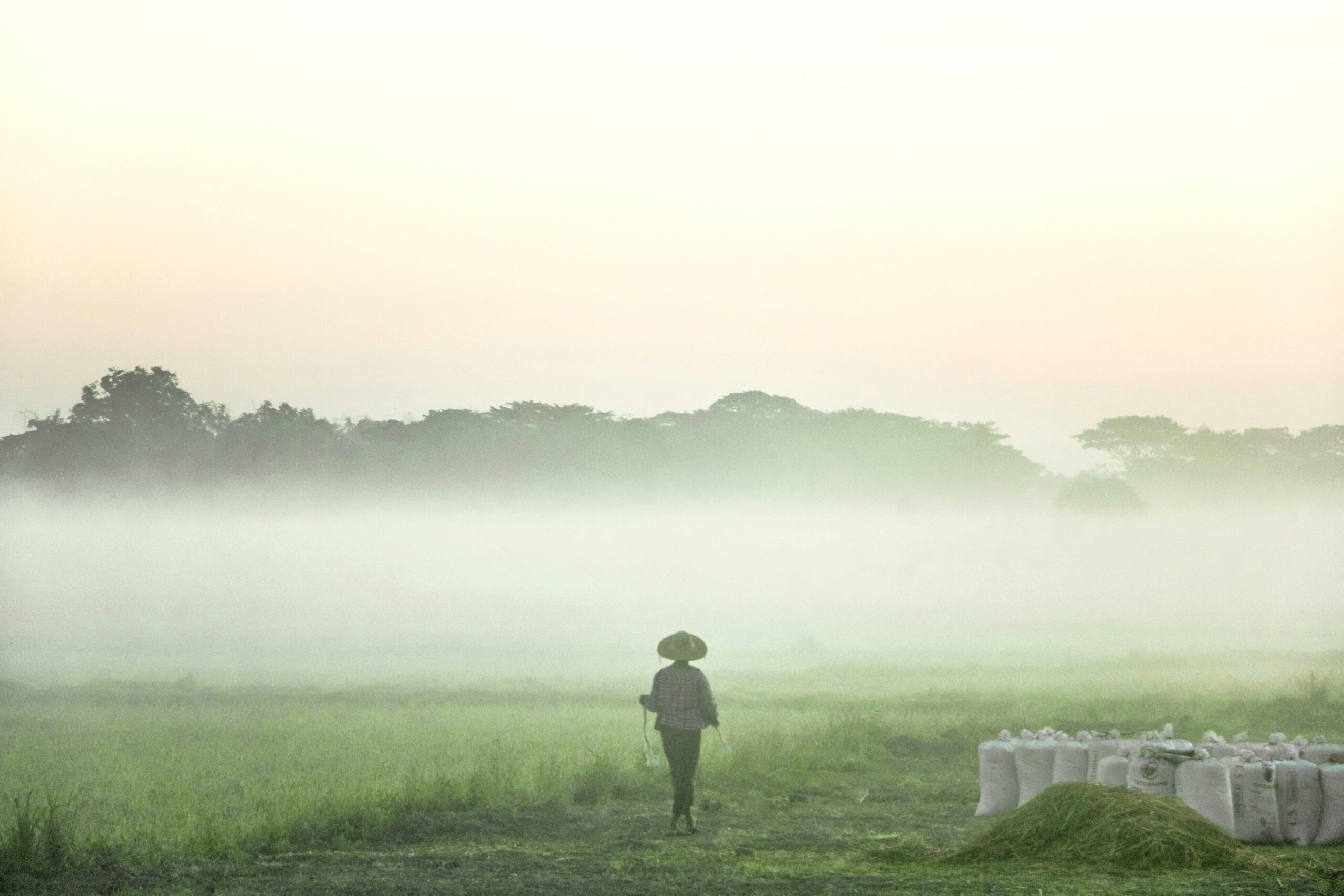 Myanmar: You Need Burmese Wonder in Your Life – Start Here