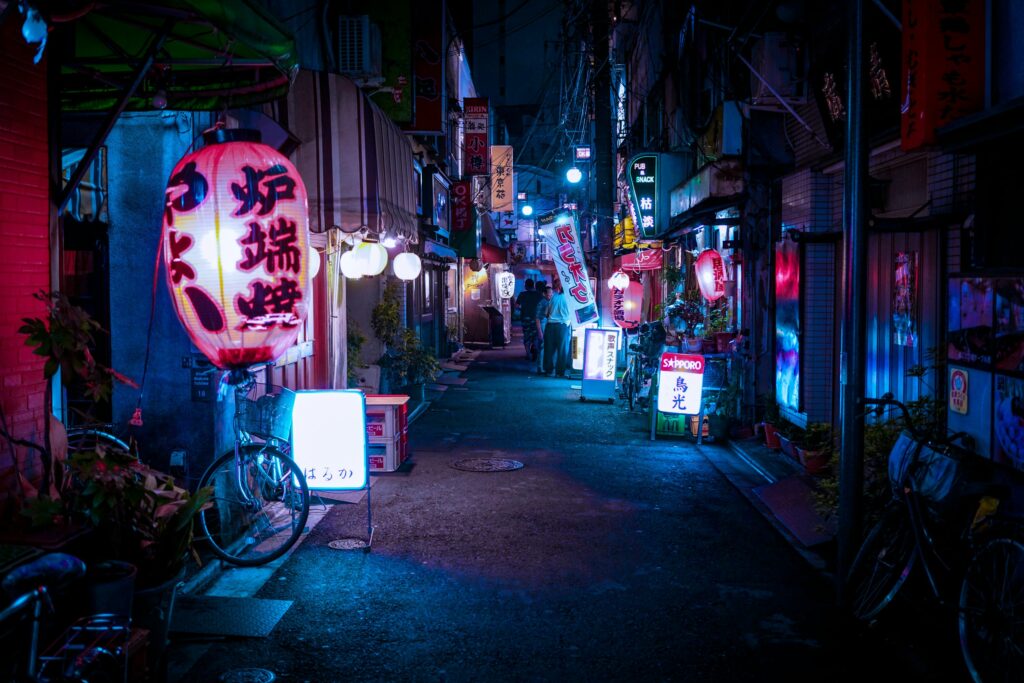 Noctourism