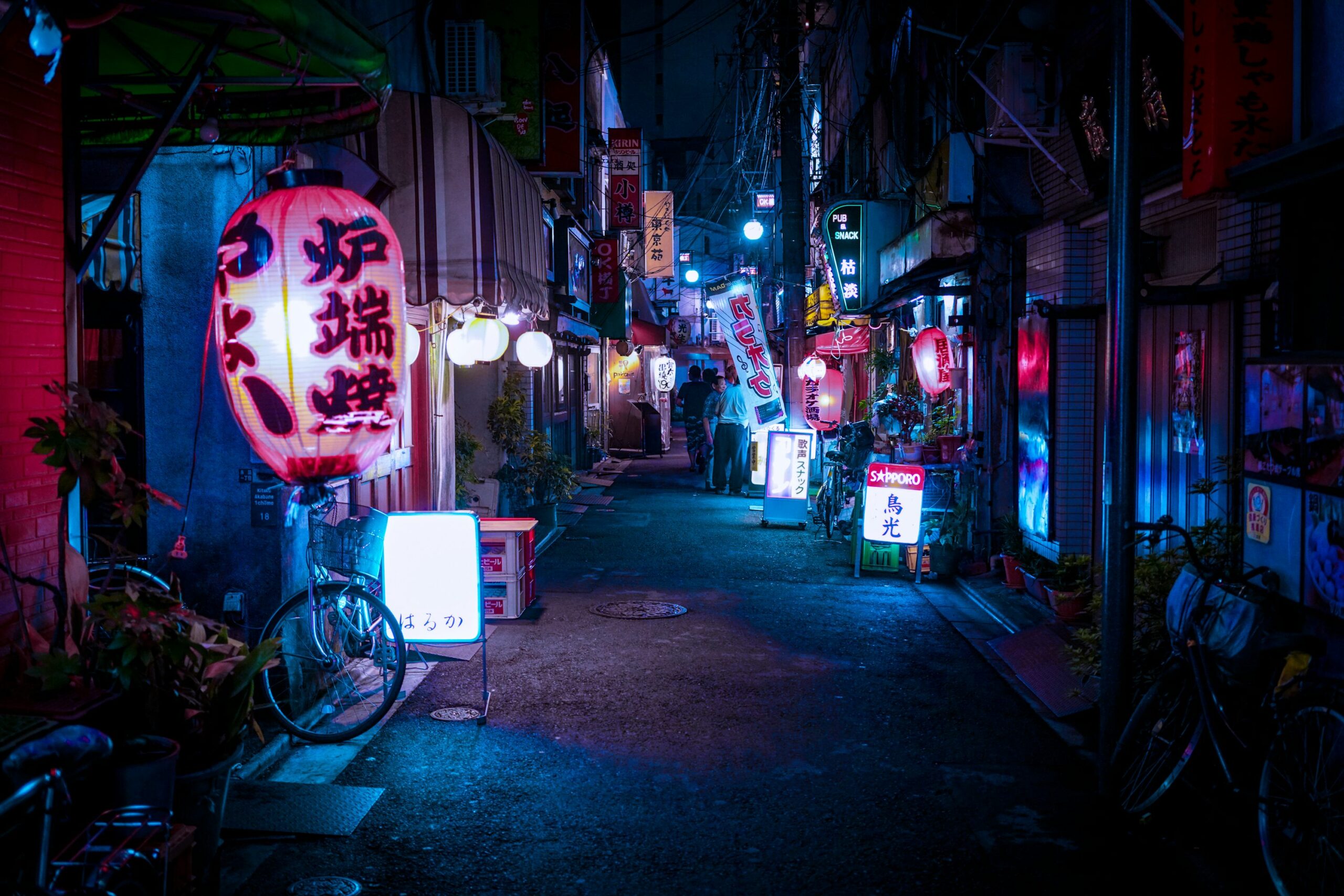 Noctourism